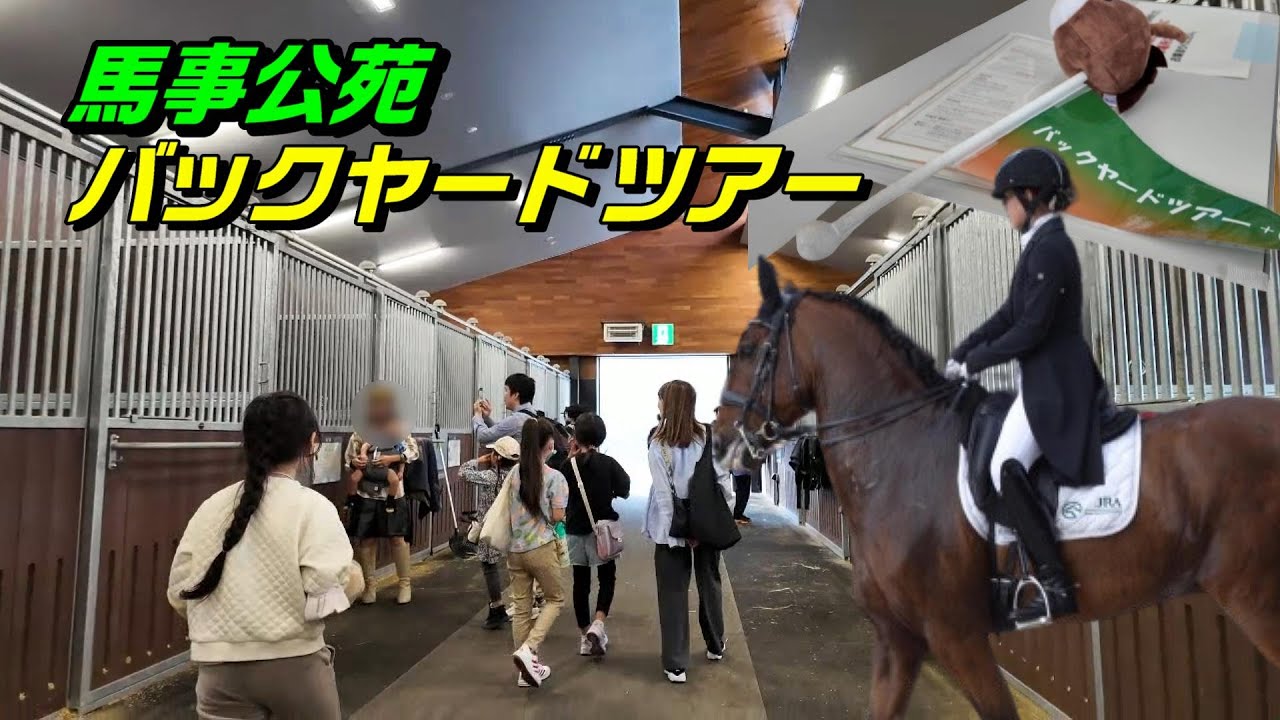 馬好きにはたまらない馬事公苑バックヤードツアー！厩舎や馬の病院が見れる♪ 2023/11/5