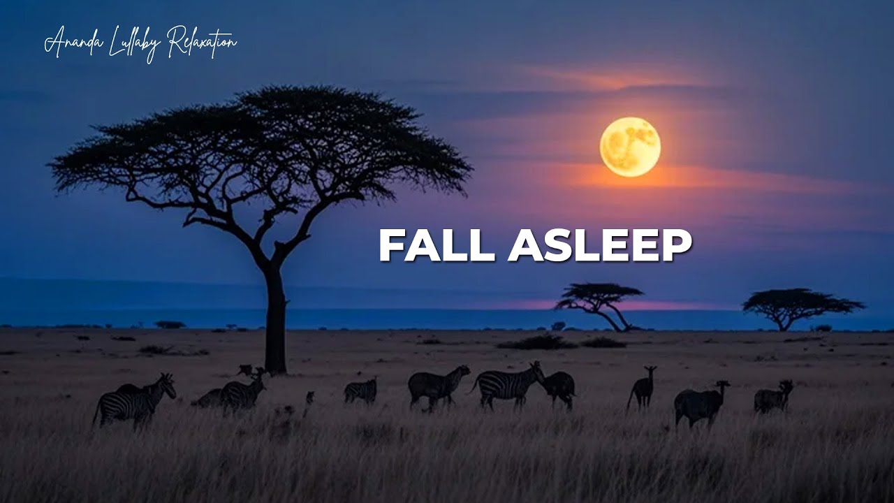 Classical Music for Sleep 💤 Soft Piano Melodies for Insomnia Relief