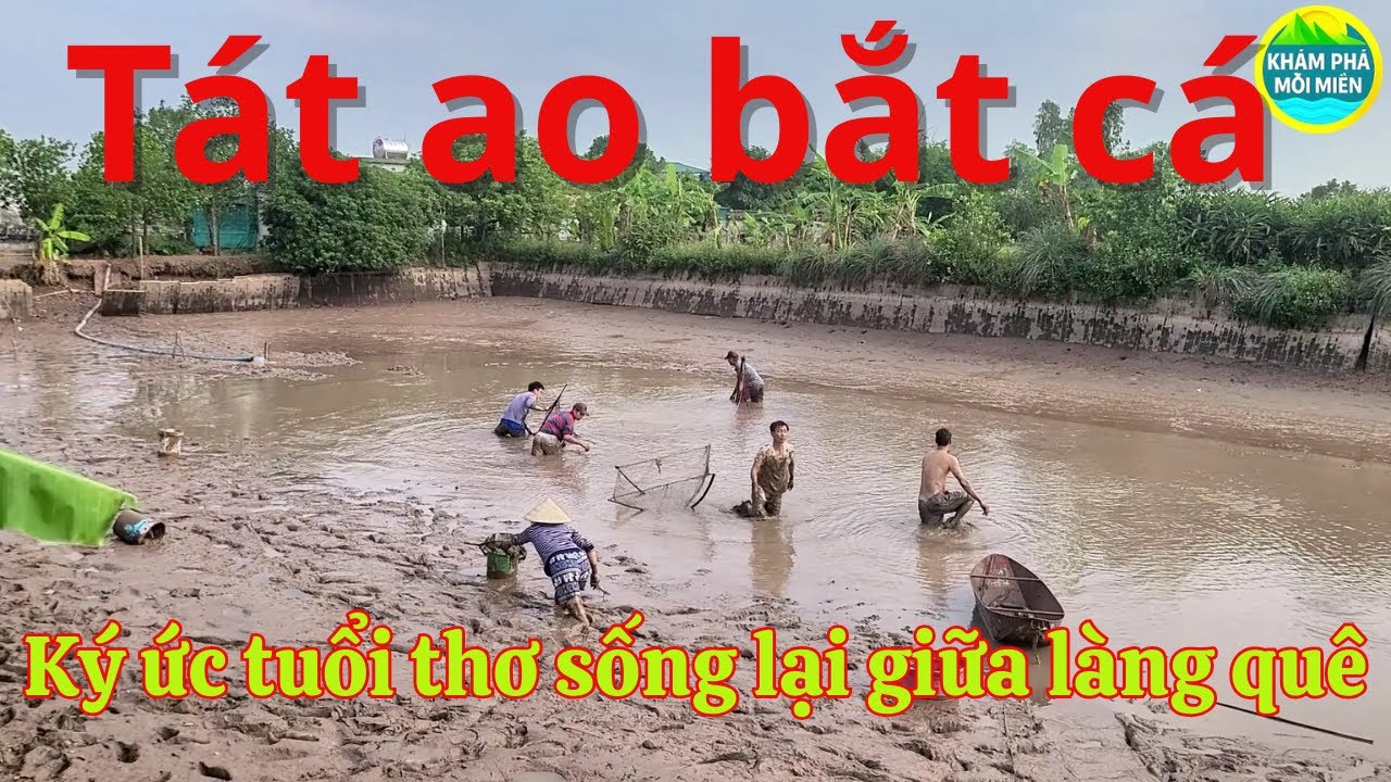 Trải Nghiệm Tát Ao Cuối Năm  Không Khí Làng Quê Rộn Ràng Trước Tết