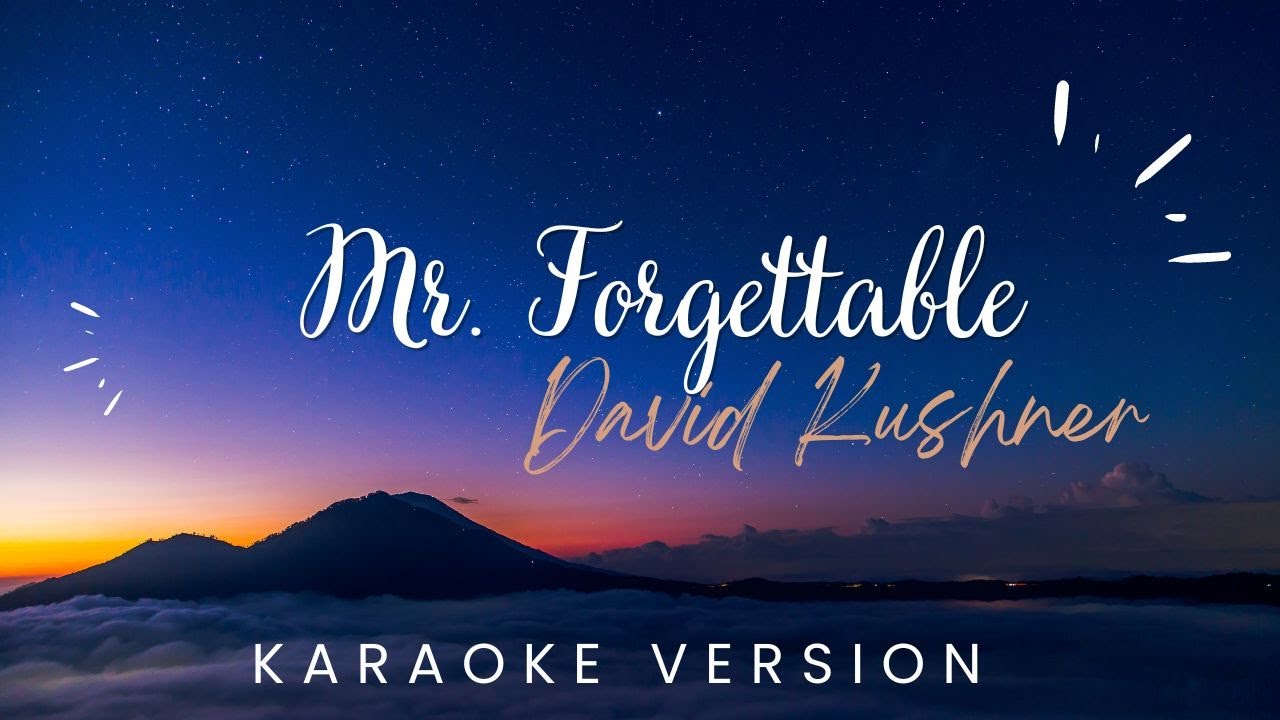 David Kushner - Mr  Forgettable | KARAOKE VERSION