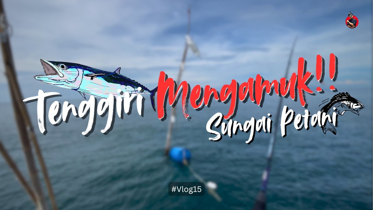 TUAS SUNGAI PETANI | LUBUK TENGGIRI RAKSASA !!!