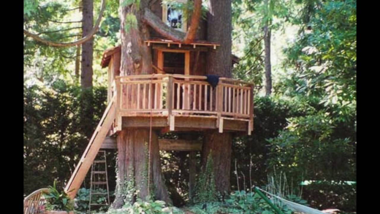 30 Best Design Tree House For Kids Ideas