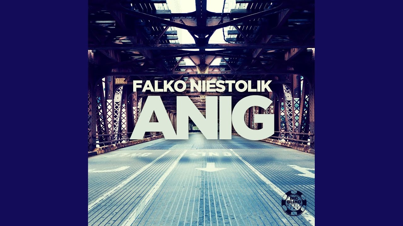 Anig (Radio Mix)