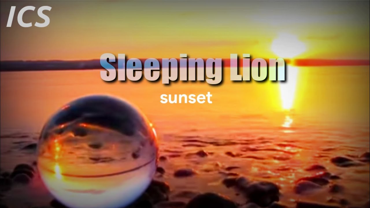 Sleeping Lion | Sunset