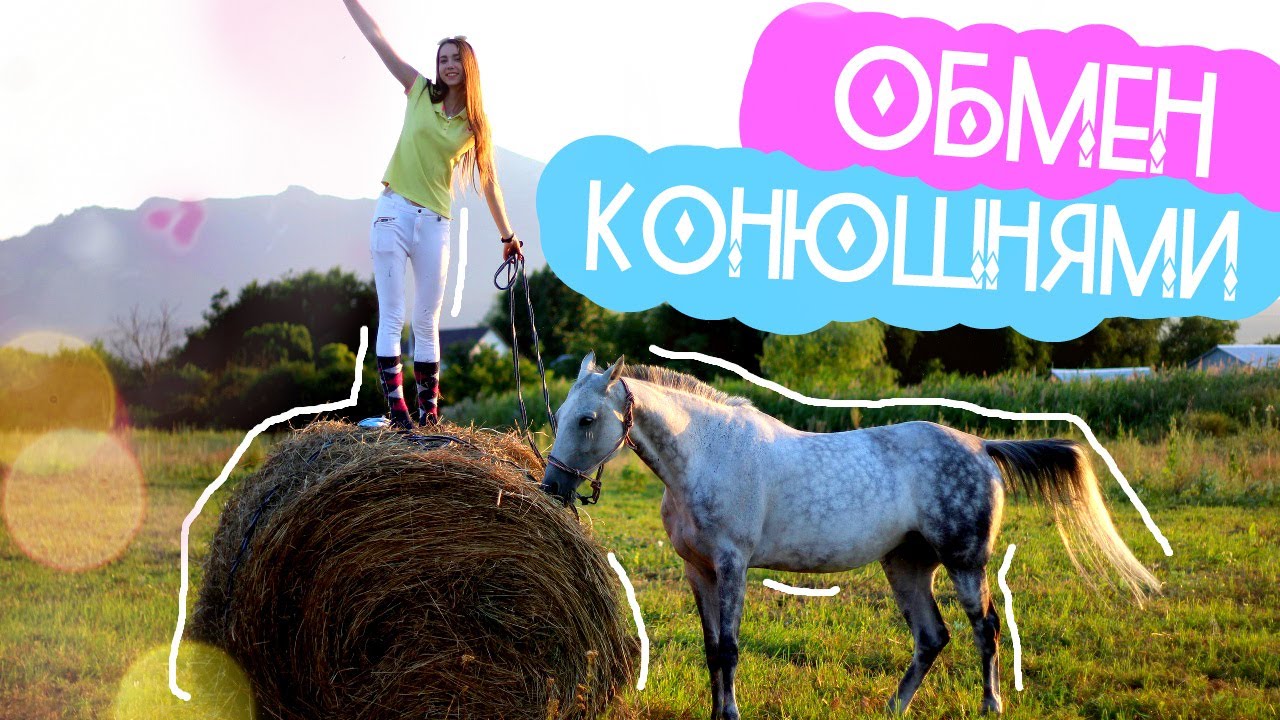 ОБМЕН КОНЮШНЯМИ | Уехала за 2600 км | У Алисы и Медеи