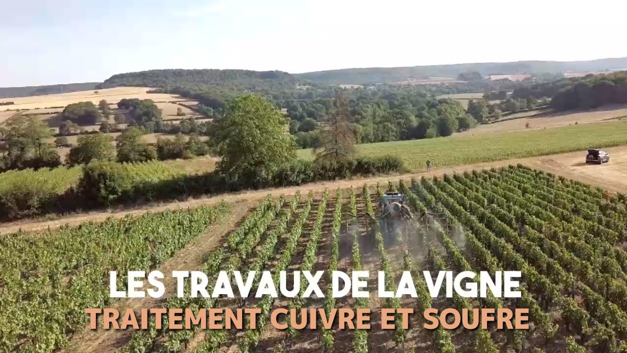 TRAVAUX DE LA VIGNE:traitement cuivre et soufre 2019
