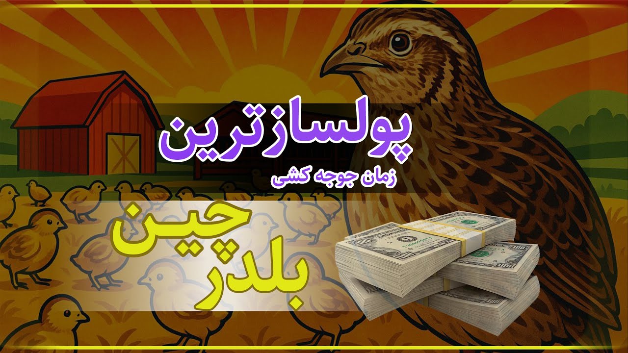 پولسازترین زمان برای پرورش بلدرچین