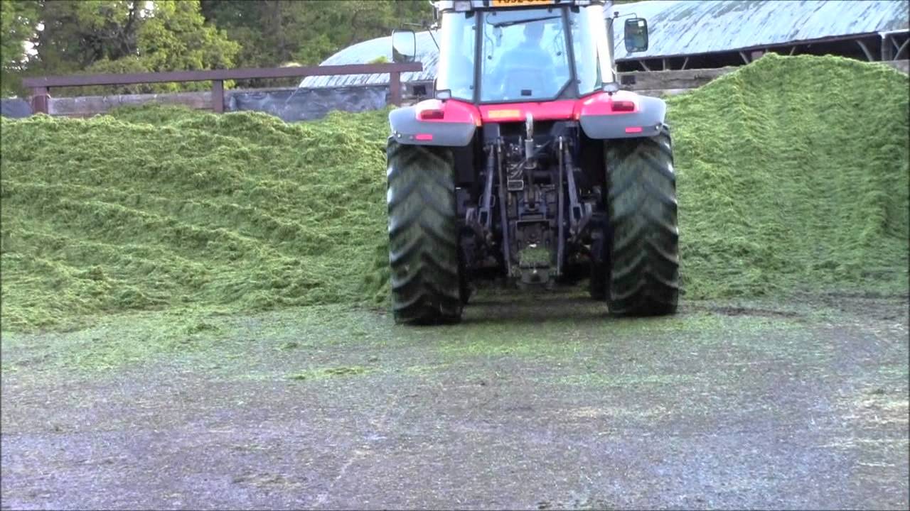 1st cut silage 2014 Massey Ferguson 8220 tractor