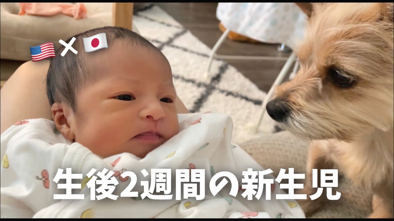 【生後1週間】新生児の赤ちゃんって可愛すぎる👼🏻💕｜授乳｜退院後｜ハーフベイビー｜