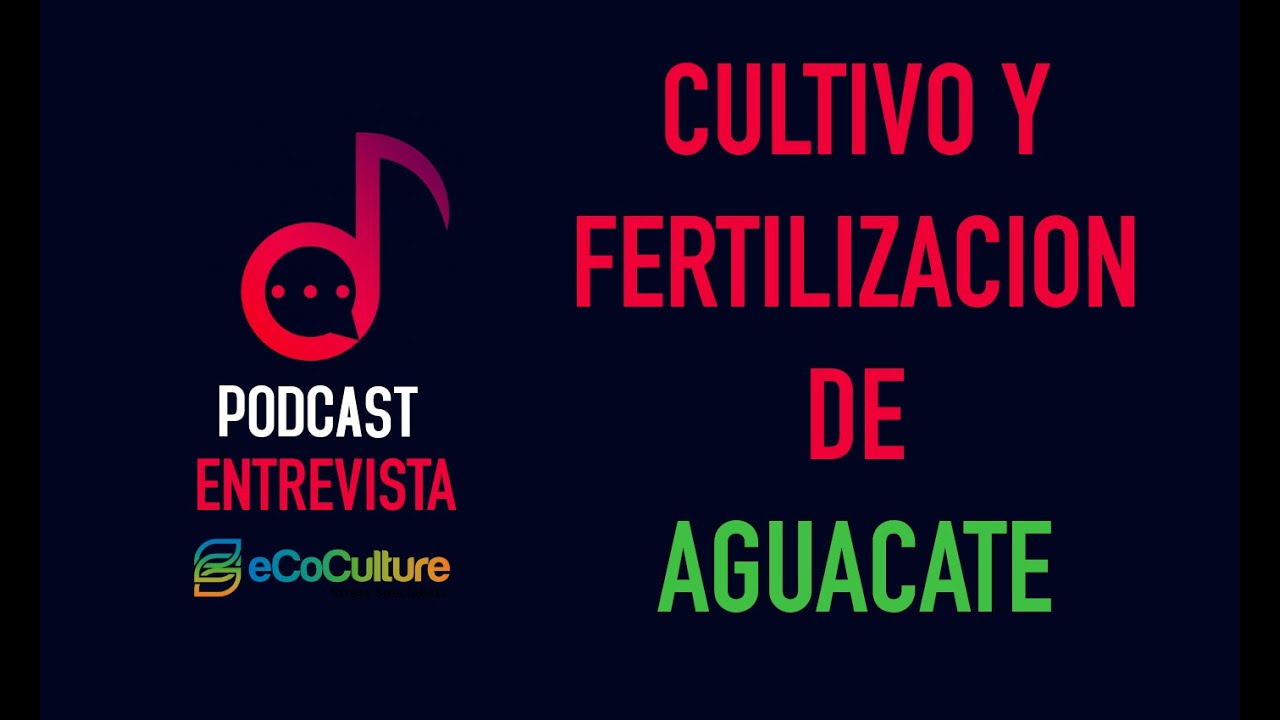 PODCAST AGUACATE - Cultivo y fertilización con Ecoculture 🥑