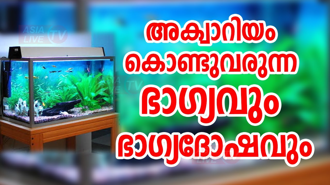അക്വാറിയം കൊണ്ടുവരുന്ന ഭാഗ്യവും ഭാഗ്യദോഷവും | 9745094905 | Aquarium Vastu | Asia Live TV