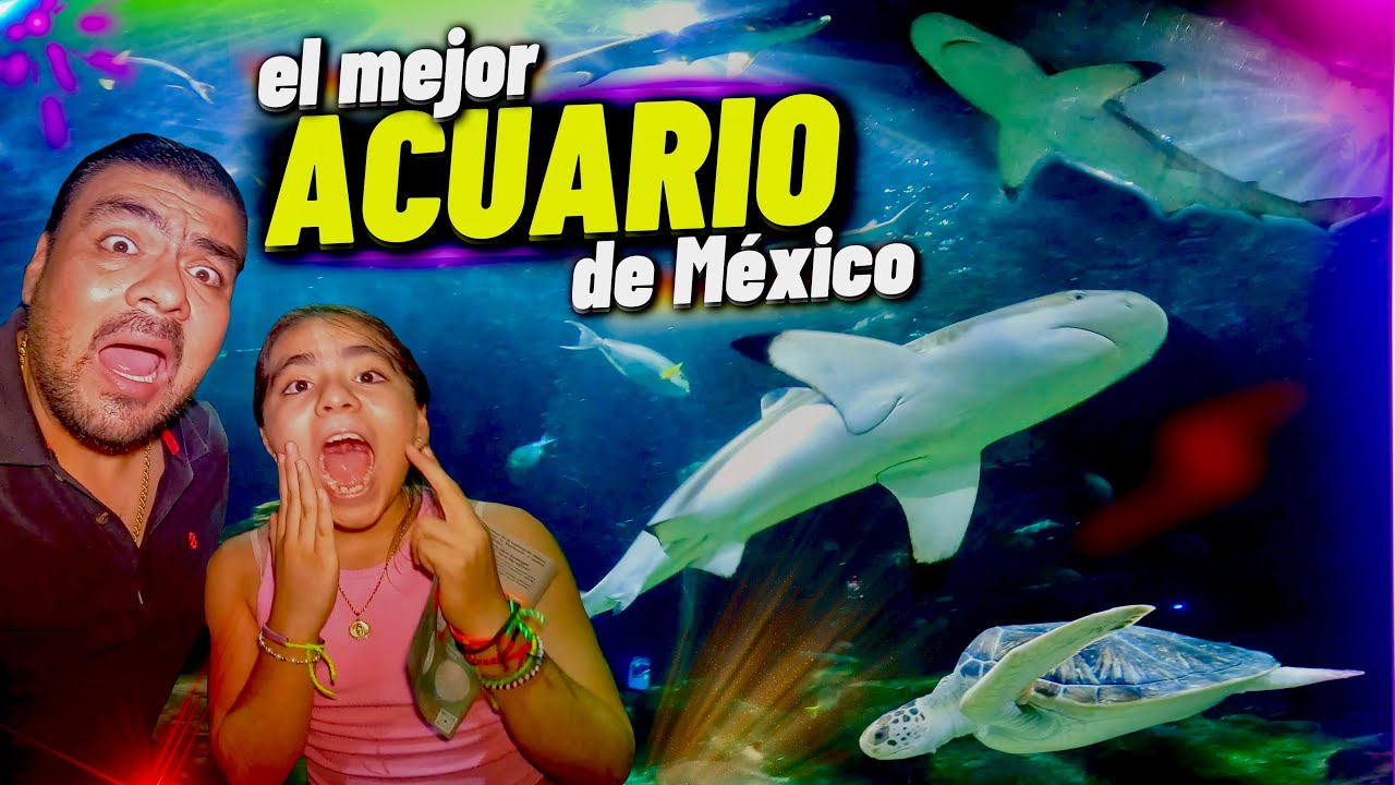 así es el ACUARIO MICHIN el más grande y moderno | RECORRIDO COMPLETO 🇲🇽