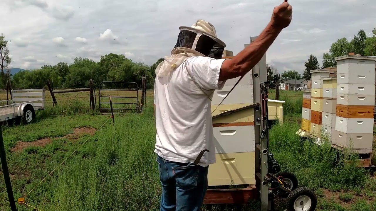 Home Made Bee Hive Lift 1.0 and 2.0!