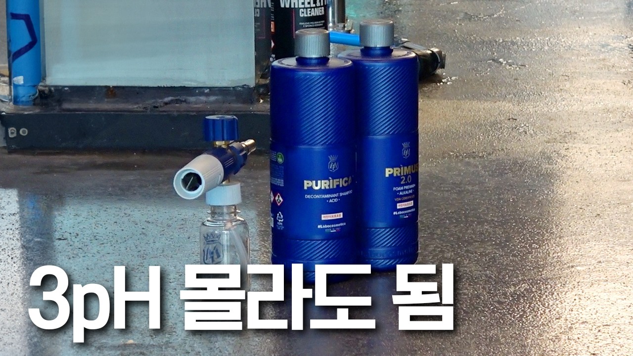 세차 고수들의 3pH 세차 꿀팁🤓 | 디테일링 위드 미 시즌4