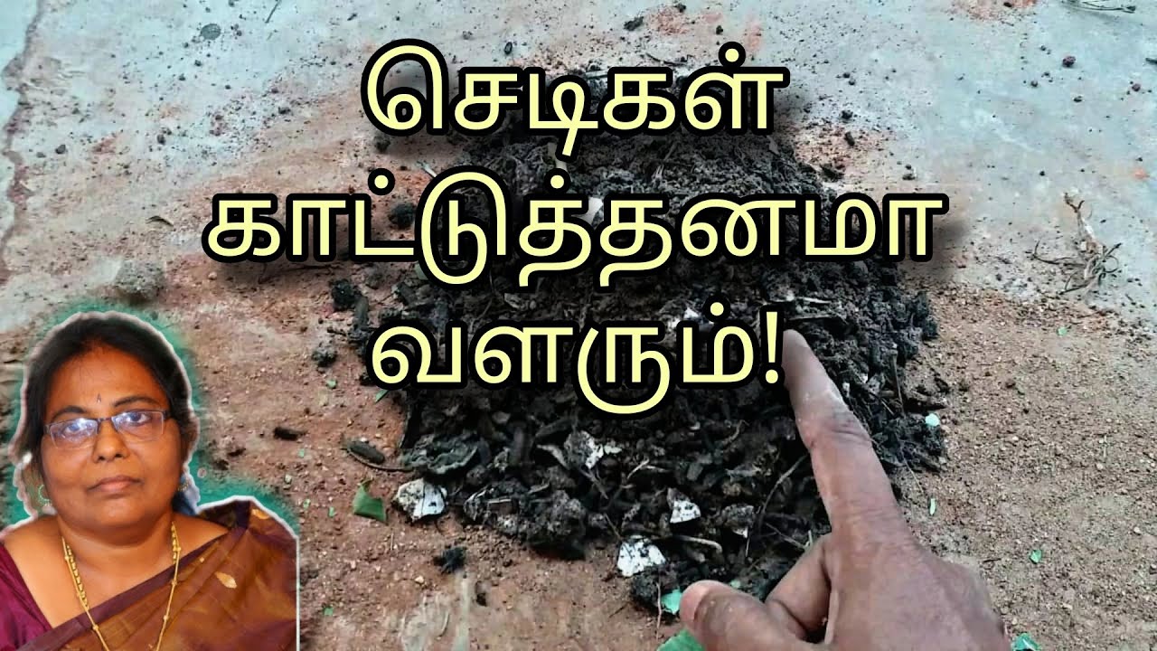 மண்கலவையில் இந்த பொருளை சேருங்க | Poting Mix For Terrace Garden #gardening #plantcare