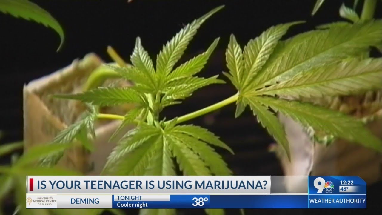 DEA Tip of the Week: Signs your teen smokes marijuana