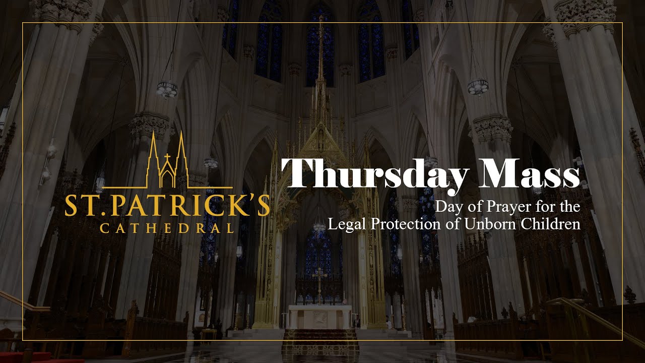 Thursday Mass - January 22nd 2026