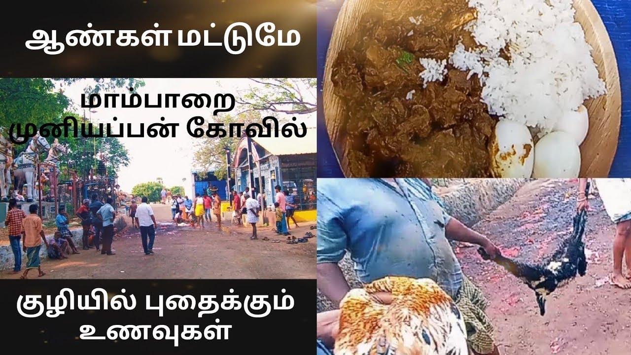 ஆண்கள் மட்டுமே வழிபடும் | மாம்பாறை முனியப்பன் கோவில்
