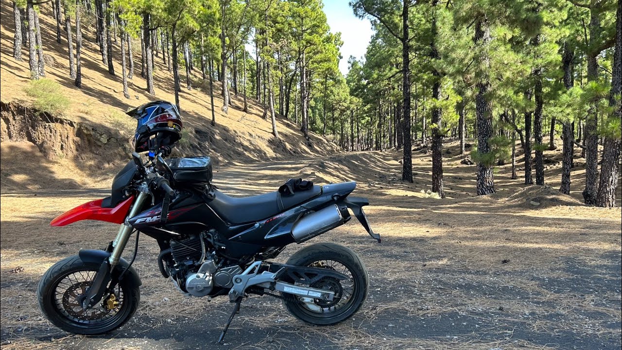 Exploring the Island of La Palma 