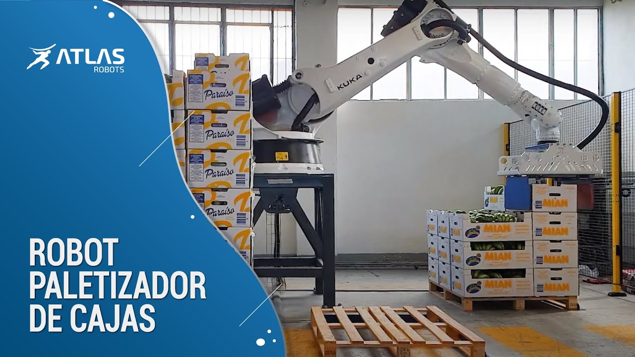 Paletizador de cajas de plátanos con cuatro dársenas en Islas Canarias