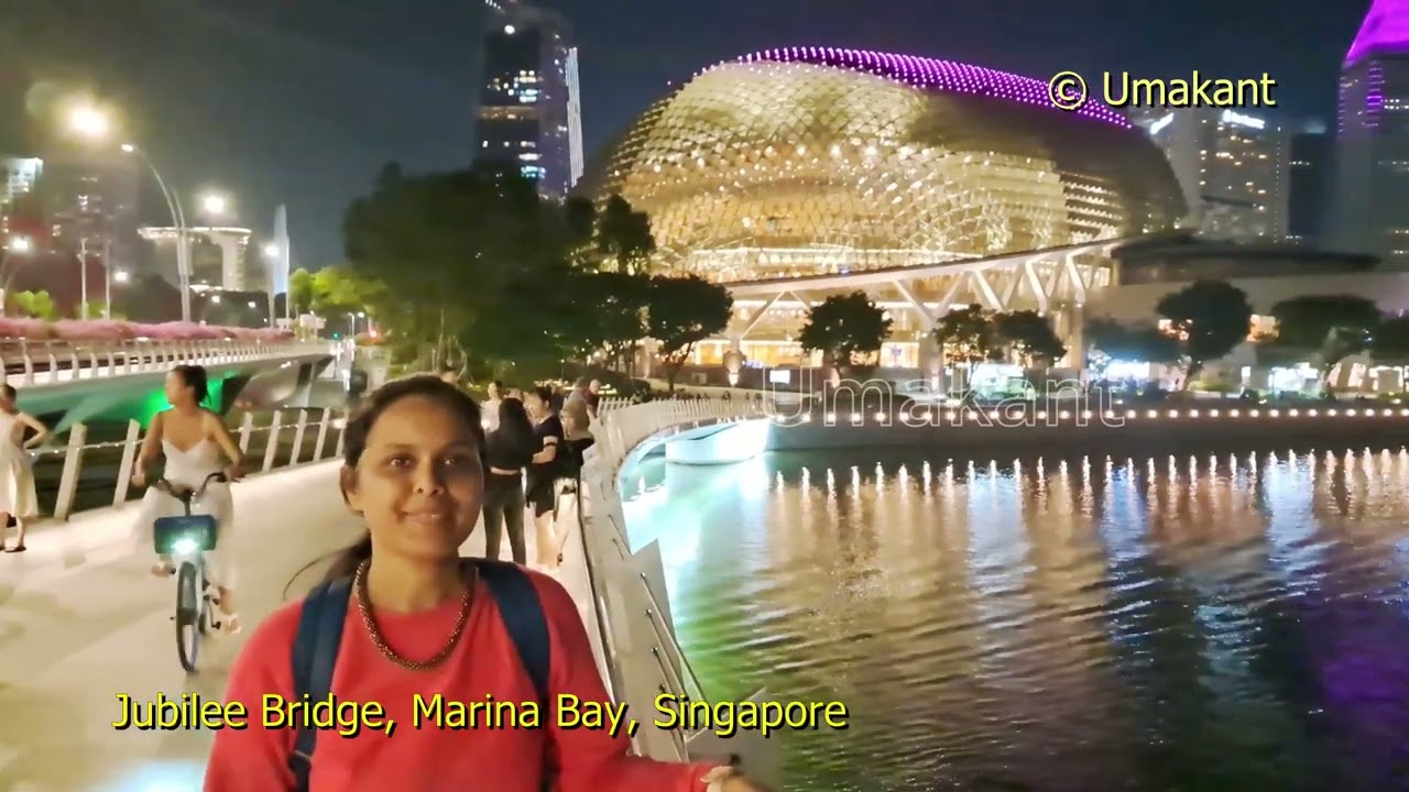 Jubilee Bridge Marina Bay (Night View) Singapore