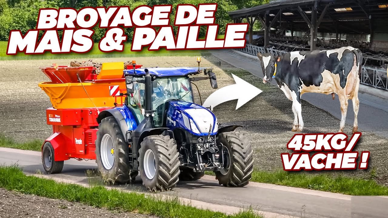 🤠 BROYAGE de MAÏS & de PAILLE : FERME à 45KG/ VACHE ! 💪🏻