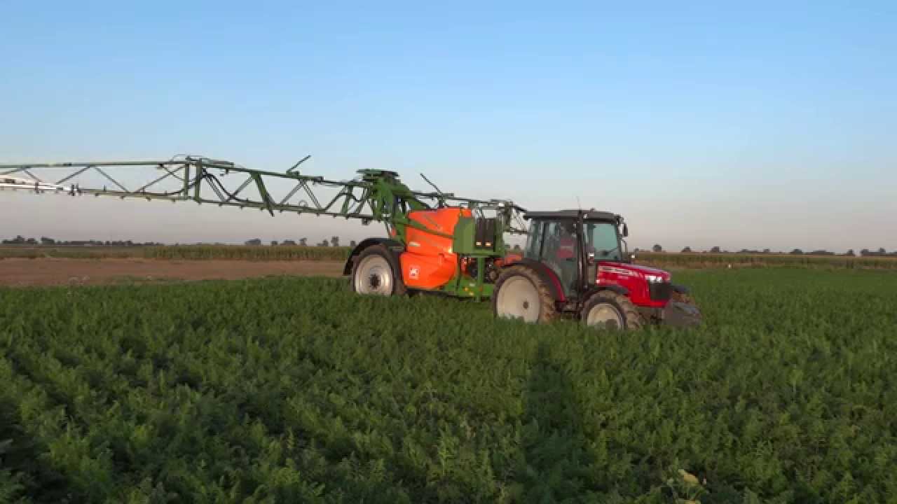 Jesień 2014  Massey Ferguson 3630 & Amazone UX3200, Valtra N111 & Sulky