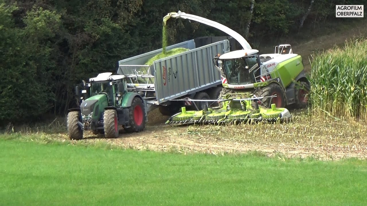 Die Raubkatze im Mais - Claas Jaguar 970 beim Maishäckseln - Teil 2 - Lohnunternehmen Winderl