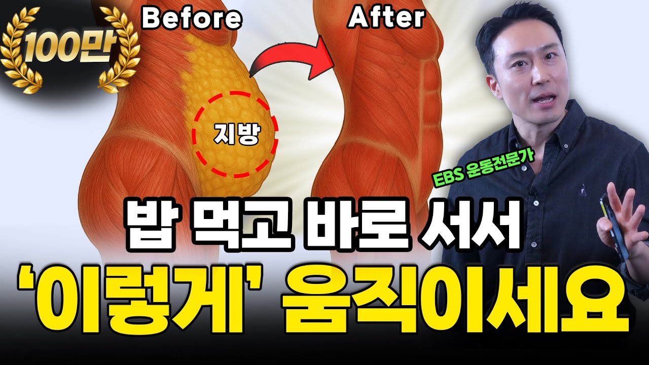 걷기보다 강력한 식후 7분 루틴, 단 2주면 뱃살이 ‘쏙’ 빠집니다 [혈당관리O 층간소음X 관절부담X]