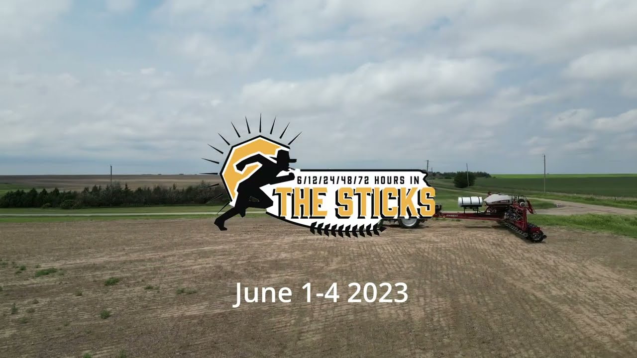 The Sticks