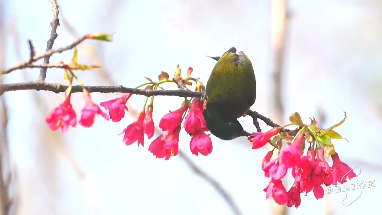 2026年2月6日