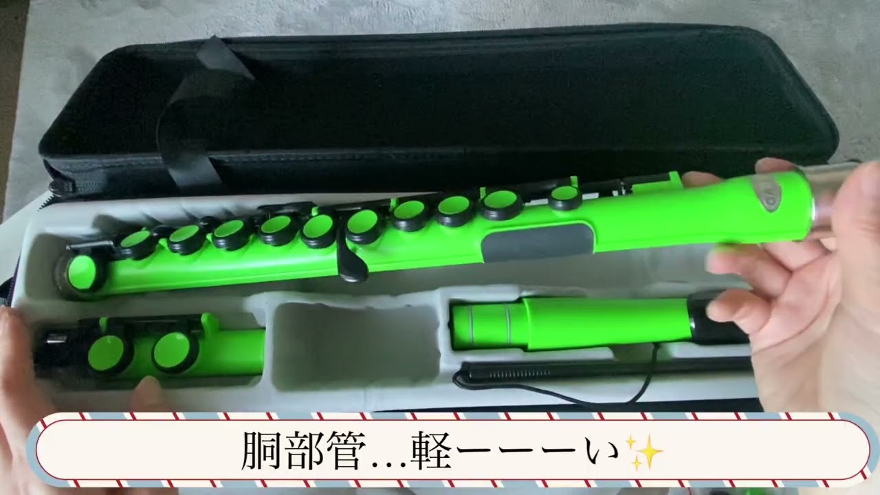 プラスチックフルート　nuvoを購入！