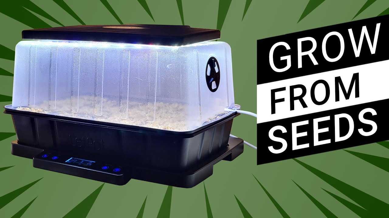 🌱 Smart Seed Starter for Carnivorous Plants? | LetPot SS Pro Unboxing & Setup