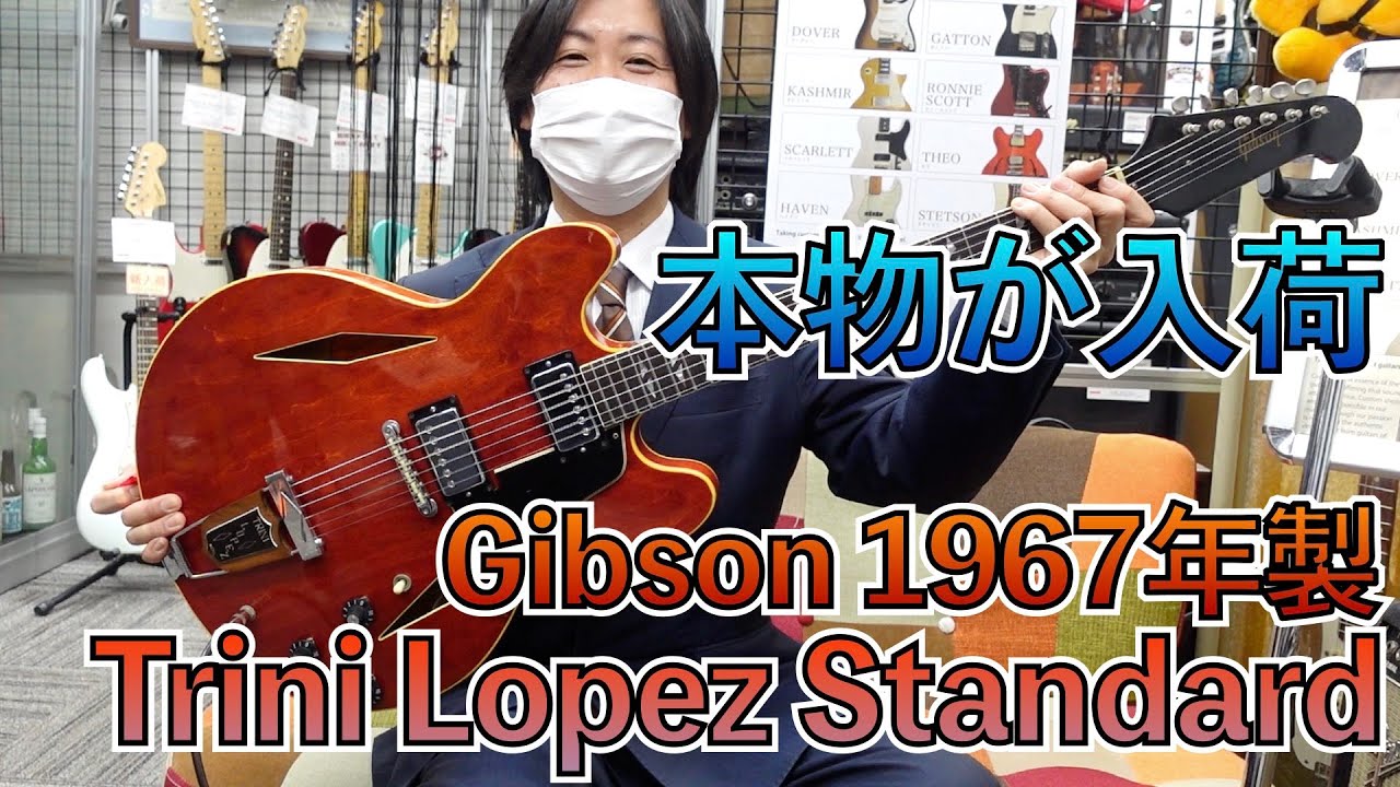 激レア！Gibson Trini Lopez Standard！オリジナルの入荷です！