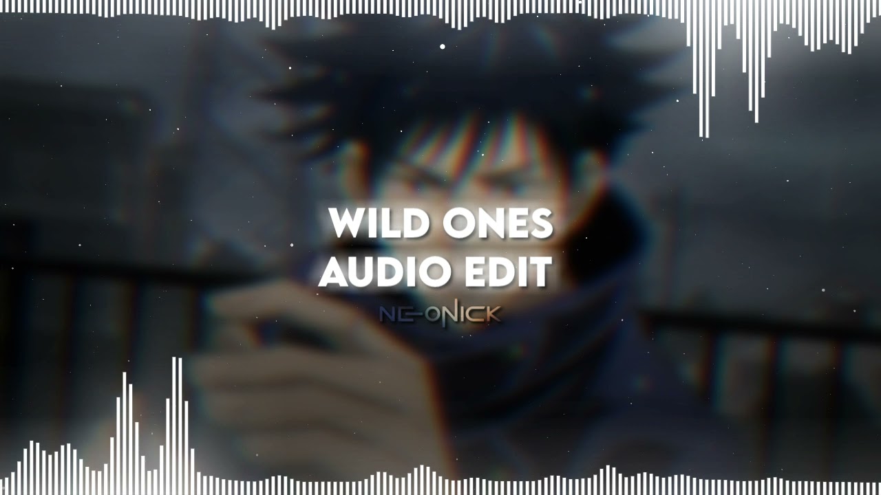 Wild Ones - Flo Rida ft. Sia | Audio Edit
