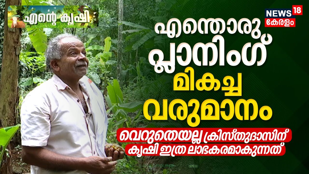 Ente Krishi | എന്തൊരു Planning മികച്ച വരുമാനം! വെറുതെയല്ല Christudasന് കൃഷി ലാഭകരമാകുന്നത് | Farming