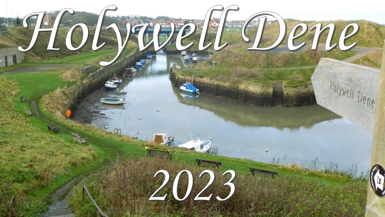 Holywell Dene 2023