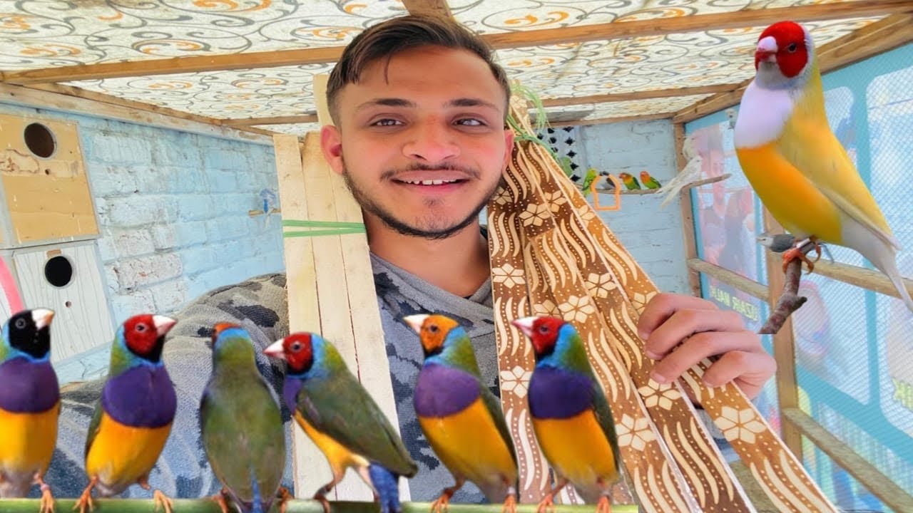 Master Cage Mein Cage Banaana Hai