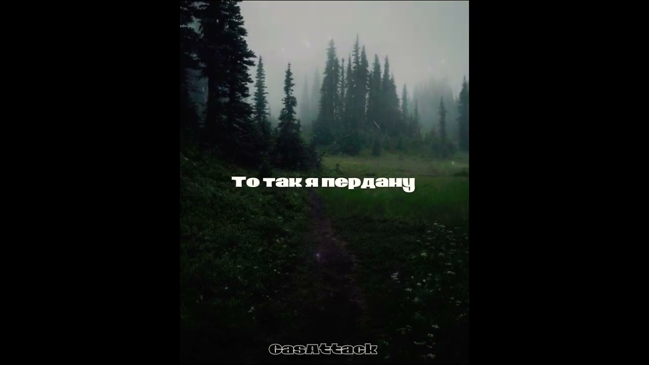 Сектор Газа - Пердун #90 -е #панки хой #sektor  #юрийклинскихнашземляк #хойжив #музыкадлядуши