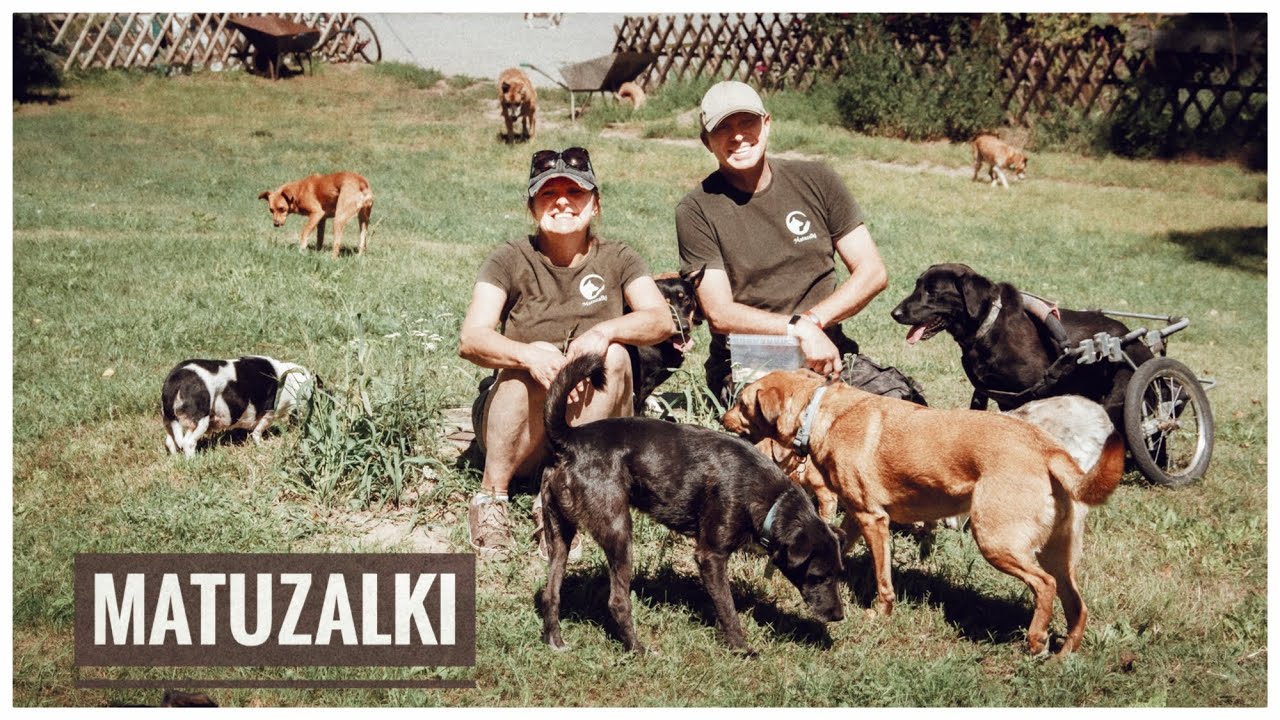 Fundacja Pomocy Zwierzętom 