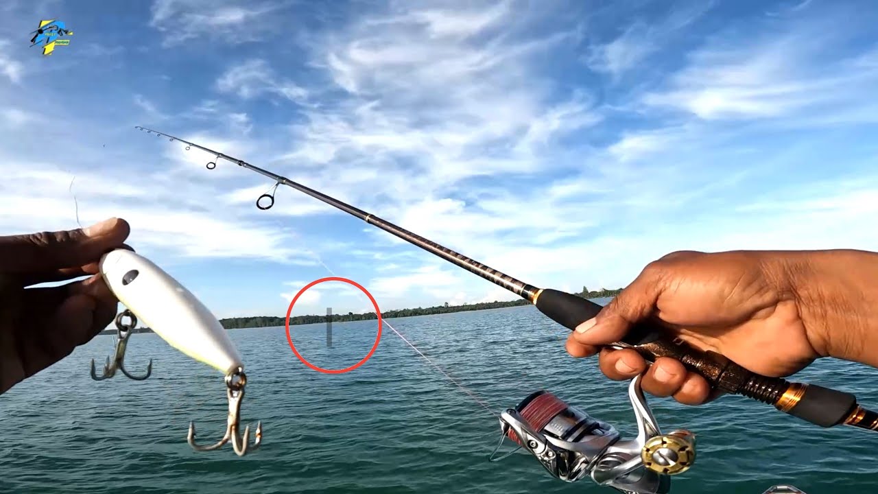 Sambaran Ganas!! Strike Bertubi-tubi Predator Tiang Satu..!! Casting Dan Castjig