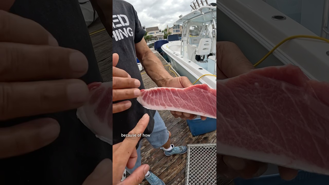 Poor Man&rsquo;s Bluefin Tuna #fishing #shorts