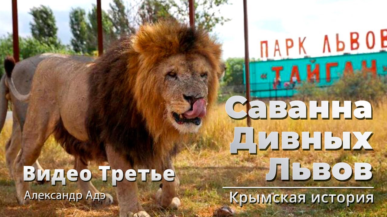 Александр Адэ - Саванна дивных львов (Видео 3)