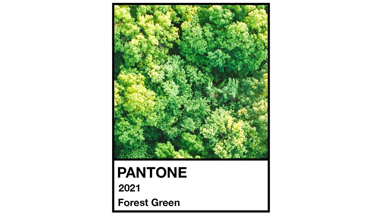 Color of the year - Mobile Film Festival - Making Peace With Nature