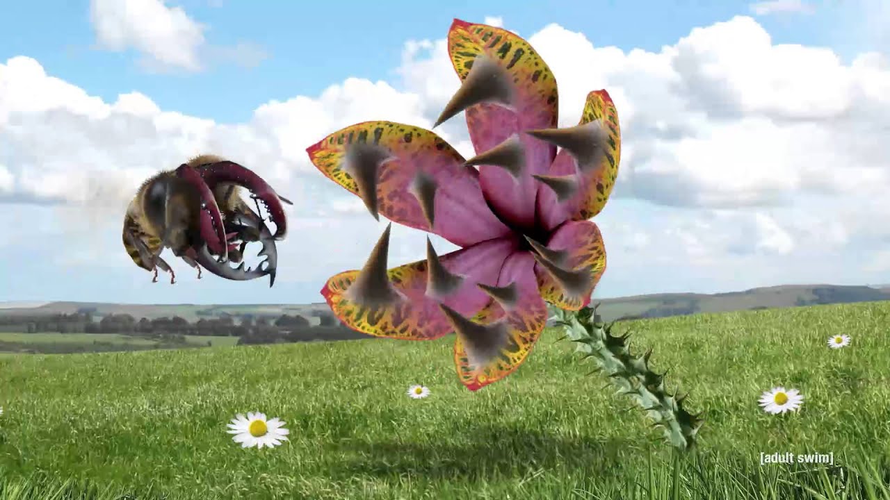 Flower &ndash; Cyriak v2