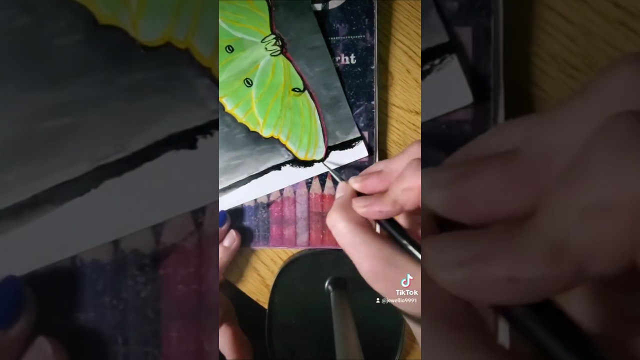 Painting a Luna moth for funsies #art #acrylicpainting #shorts #lunamoth #fyp