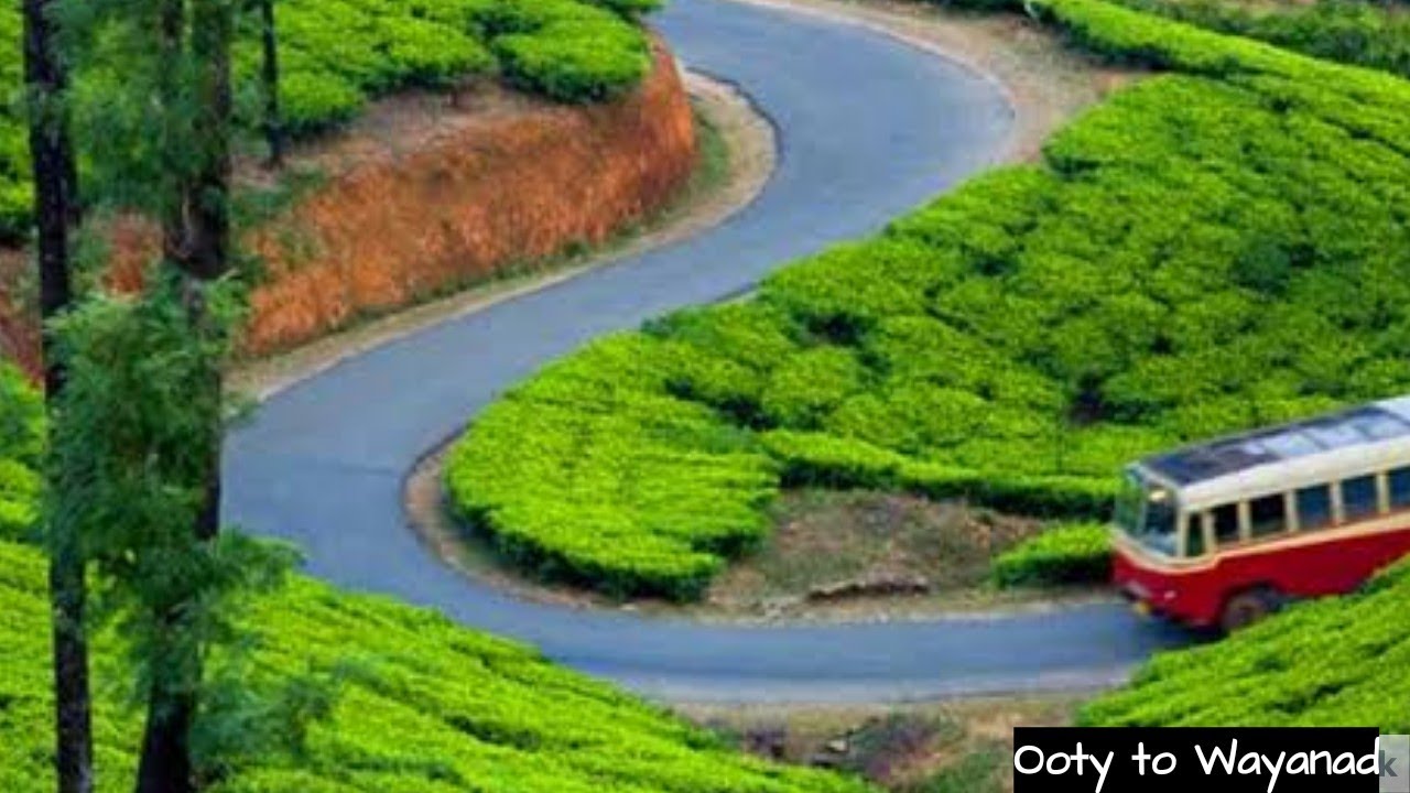 Amazing Trip l Wayanad to Ootyl Familly Trip