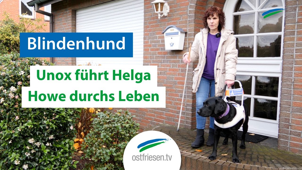 Ein Blindenhund führt sie durchs Leben