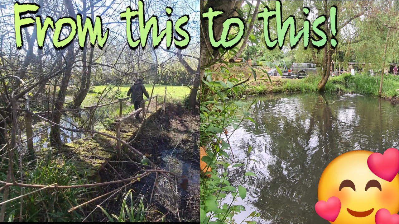 Restoring and stocking our derelict garden pond