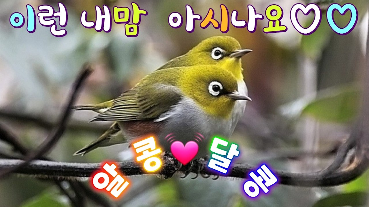 월욜 오후 2시. 알콩 달콩 음악 여행.~~^^